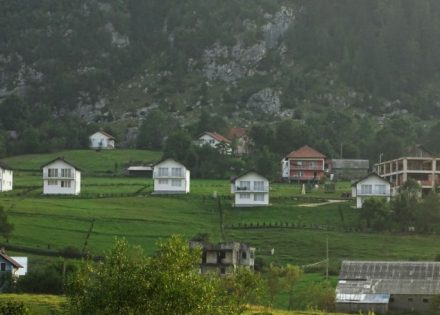 arapi