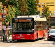 autobus
