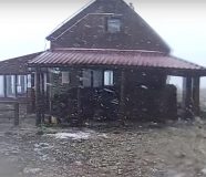 dalmacija