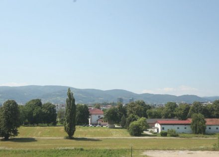 škola