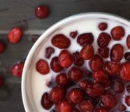 jogurt