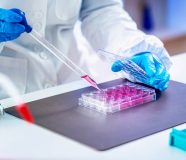 laboratorija