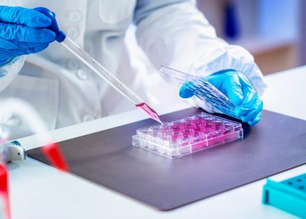 laboratorija