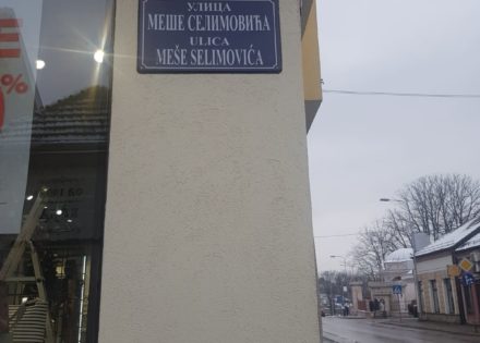 mese selimovica