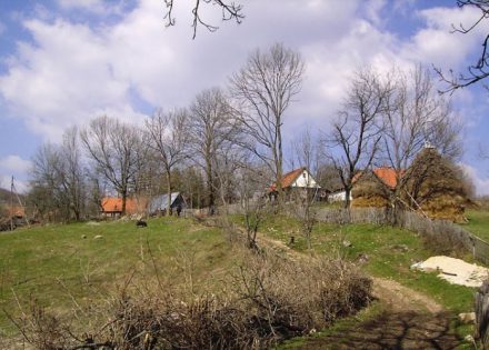 ubistvo