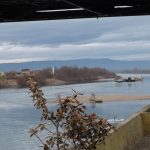 sava