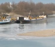 sava