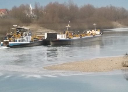 sava