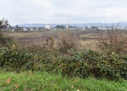 zemljište