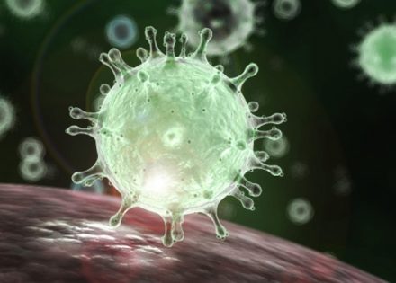 koronavirus