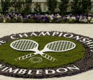 vimbldon