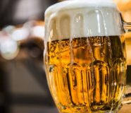 pivo