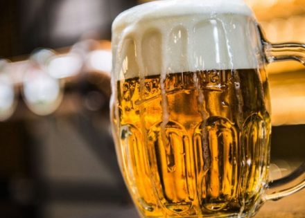 pivo