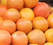 grejpfrut