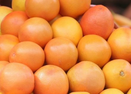 grejpfrut