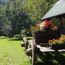 vaučeri