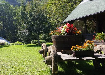 vaučeri