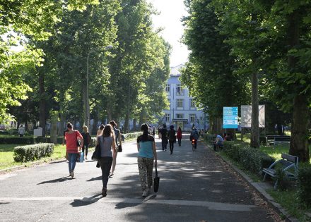nastava