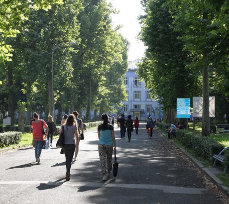 nastava