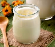 kefir