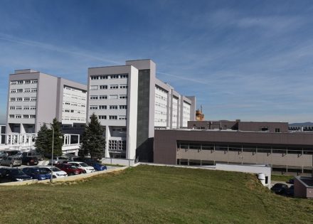pjesak