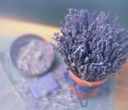 lavanda