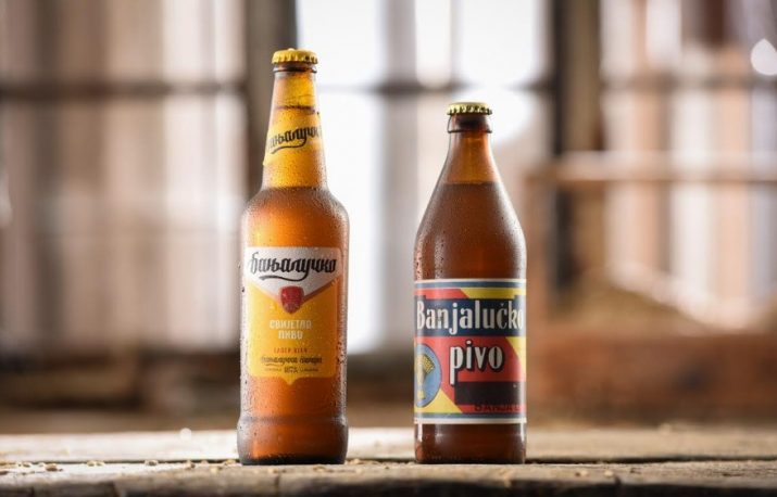 pivo