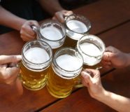 pivo