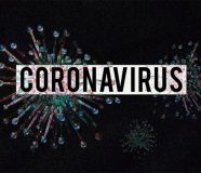korona