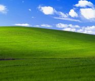 windows xp