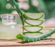 aloe vera