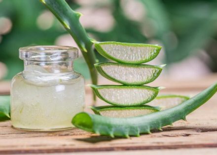 aloe vera
