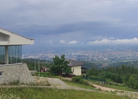 Krčmarice
