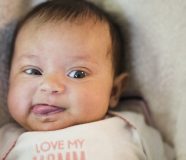 bebe