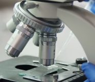 laboratorija