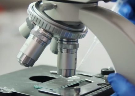 laboratorija