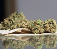 marihuana