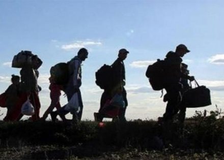 migranti