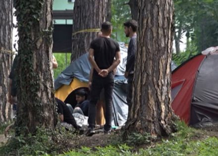 migranti