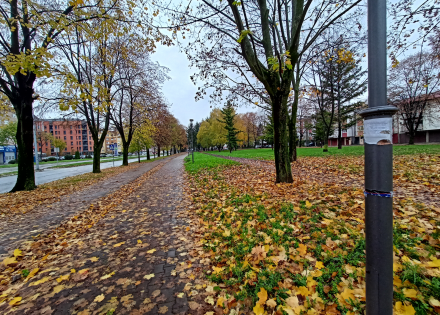 plakati
