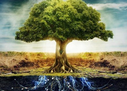 horoskop