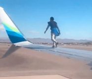 avion