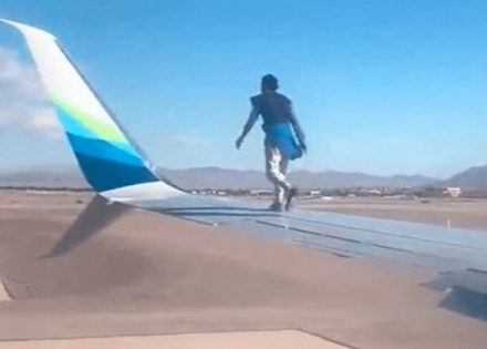 avion