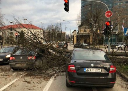 vjetar