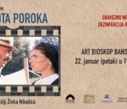 Lepota poroka
