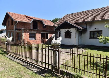 Suđenje Stanivukoviću