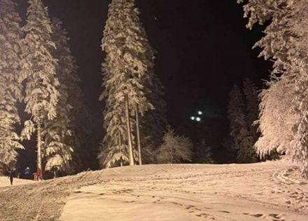 kozara