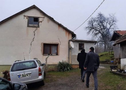 novi