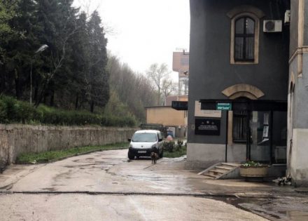 rudar