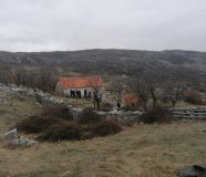 Hronika